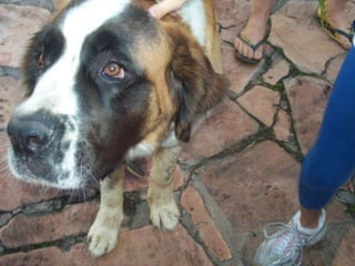 Utilização do espaço