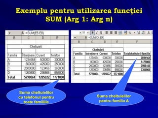 Exemplu pentru utilizarea funcţiei
SUM (Arg 1: Arg n)
Suma cheltuielilor
cu telefonul pentru
toate familiile
Suma cheltuielilor
pentru familia A
 