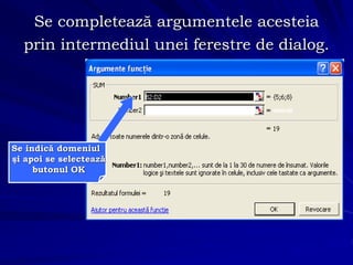Se completează argumentele acesteia
prin intermediul unei ferestre de dialog.
Se indică domeniul
şi apoi se selectează
butonul OK
 