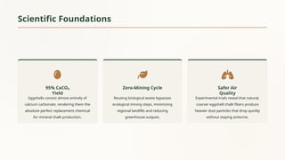 Eco-Friendly Innovation: Sustainable Chalk Production from Eggshell ...