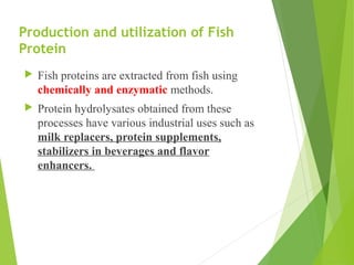 Production and utilization of Fish
Protein
 Fish proteins are extracted from fish using
chemically and enzymatic methods.
 Protein hydrolysates obtained from these
processes have various industrial uses such as
milk replacers, protein supplements,
stabilizers in beverages and flavor
enhancers.
 