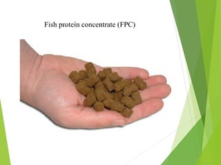 Fish protein concentrate (FPC)
 