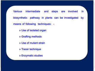 Utilization of radioactive isotopes in biosynthetic pathway Slide 4