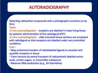 Utilization of radioactive isotopes in biosynthetic pathway Slide 41
