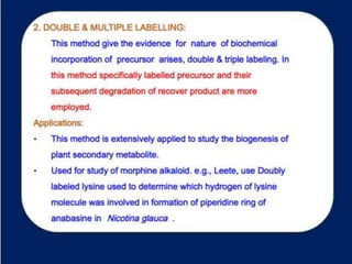 Utilization of radioactive isotopes in biosynthetic pathway Slide 53