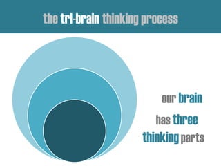 has three
thinkingparts
our brain
the tri-brain thinking process
 