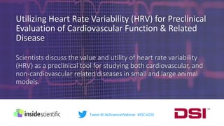 Achieving zero variability echocardiographic analysis in cardio