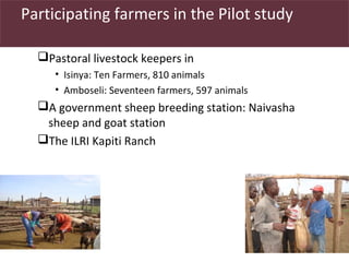Utilizing livestock biodiversity to secure livelihoods: Indigenous sheep in pastoral systems
