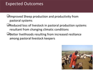 Utilizing livestock biodiversity to secure livelihoods: Indigenous sheep in pastoral systems