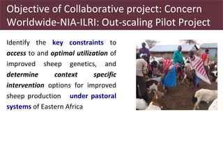 Utilizing livestock biodiversity to secure livelihoods: Indigenous sheep in pastoral systems