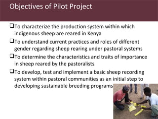 Utilizing livestock biodiversity to secure livelihoods: Indigenous sheep in pastoral systems