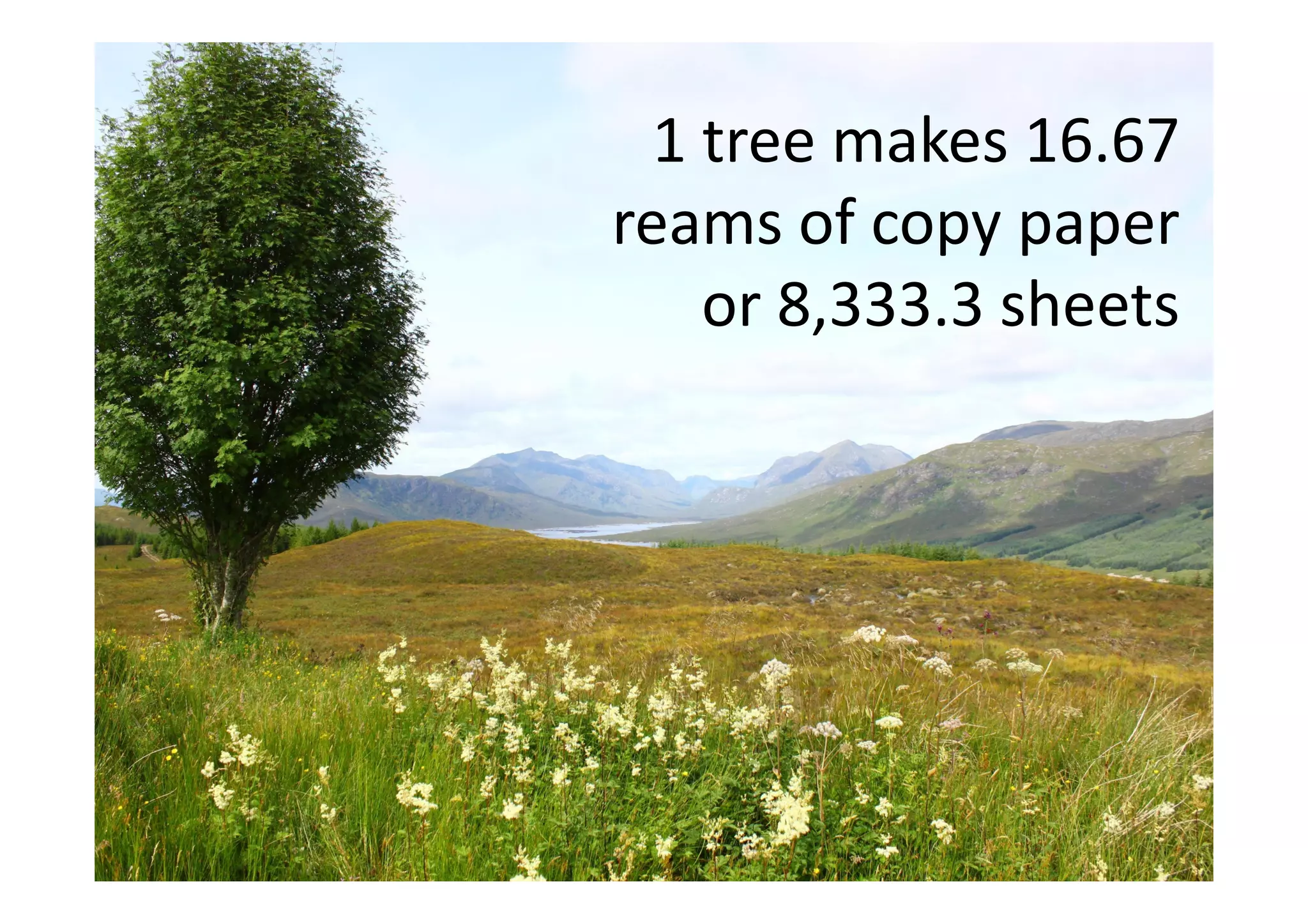 1 tree makes 16.67
reams of copy paper
    or 8,333.3 sheets
 