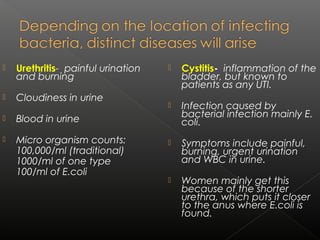  Urethritis- painful urination
and burning
 Cloudiness in urine
 Blood in urine
 Micro organism counts:
100,000/ml (traditional)
1000/ml of one type
100/ml of E.coli
 Cystitis- inflammation of the
bladder, but known to
patients as any UTI.
 Infection caused by
bacterial infection mainly E.
coli.
 Symptoms include painful,
burning, urgent urination
and WBC in urine.
 Women mainly get this
because of the shorter
urethra, which puts it closer
to the anus where E.coli is
found.
 