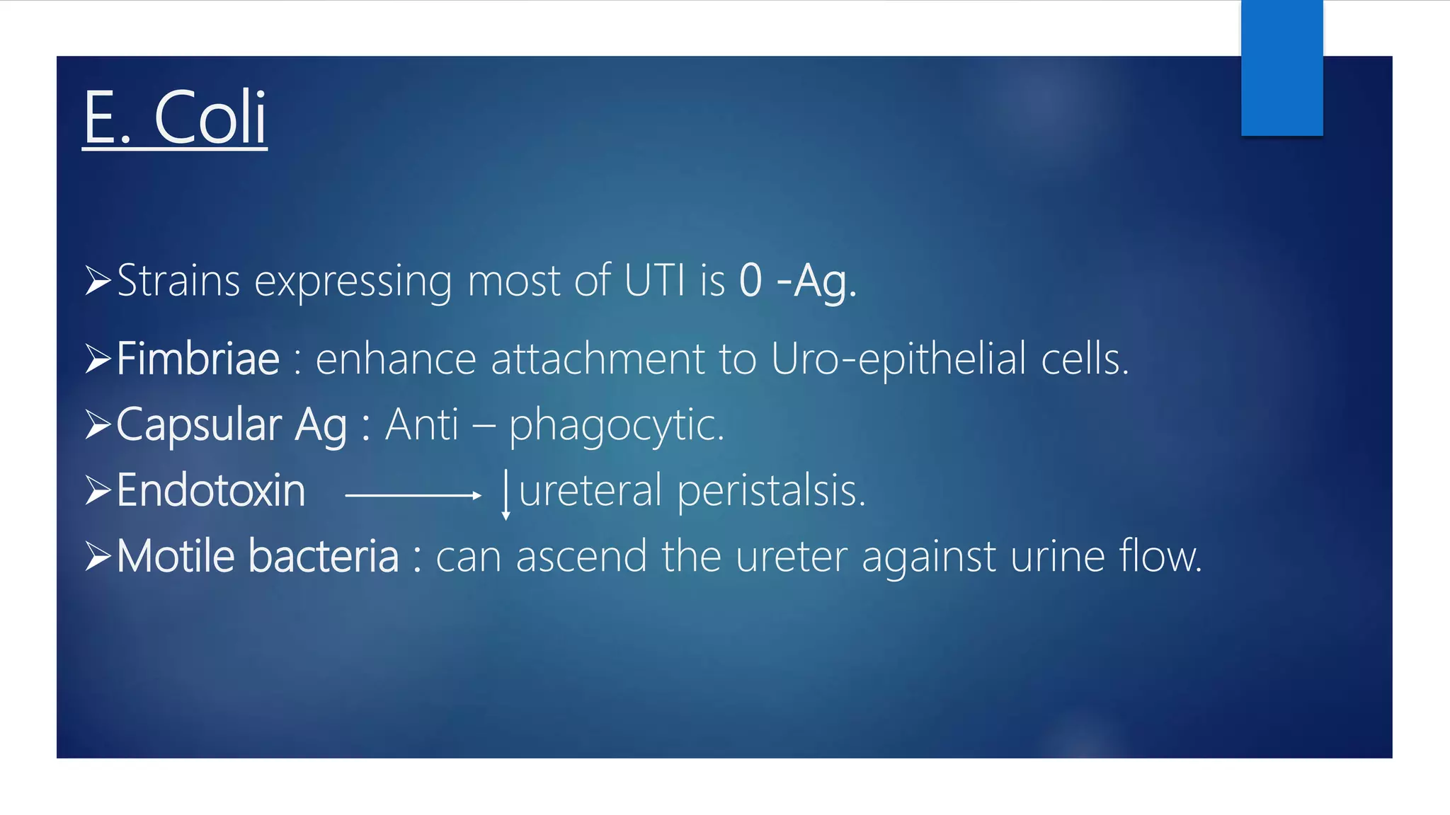 Urinary track infection | PPTX
