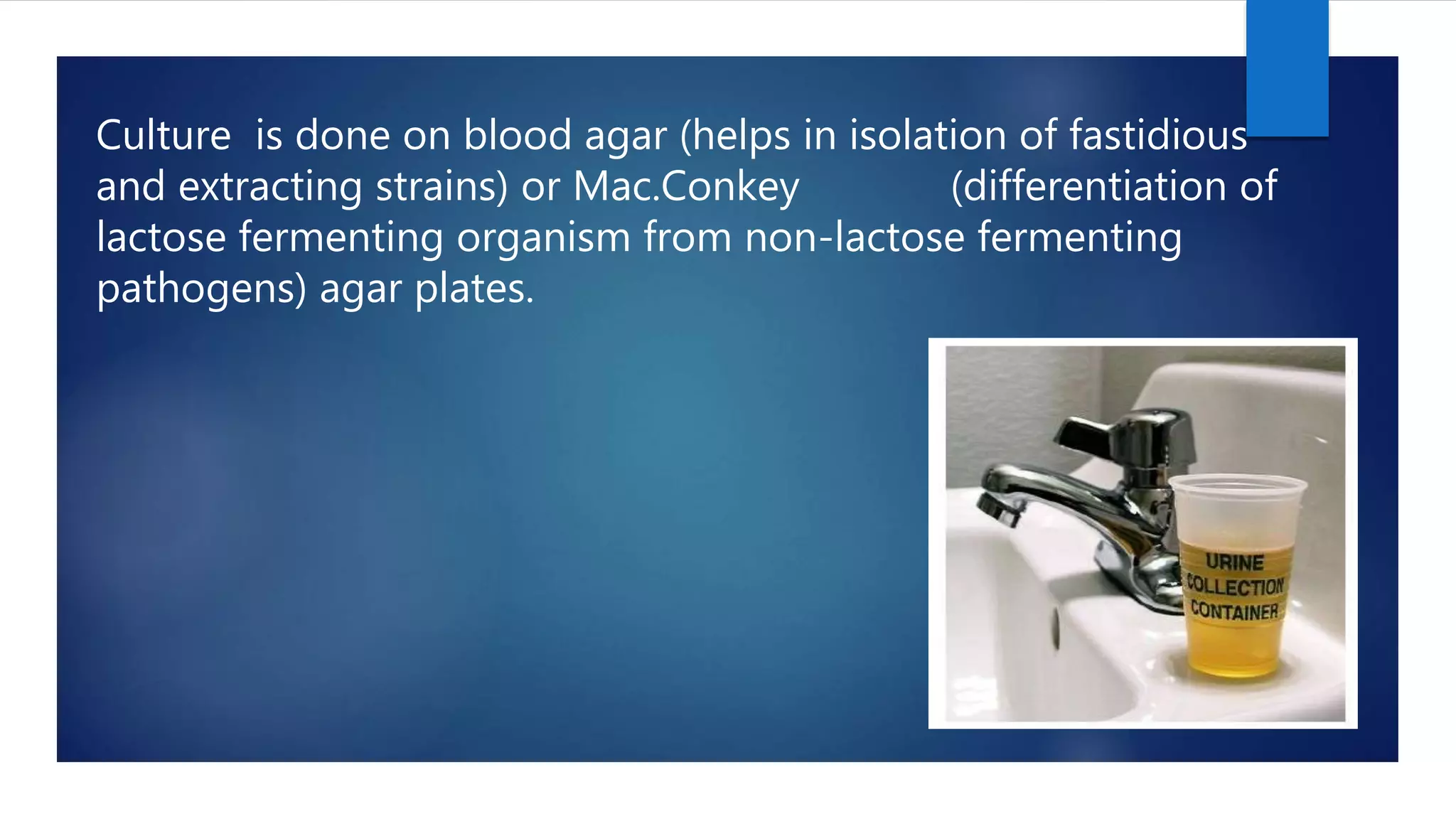 Urinary track infection | PPTX