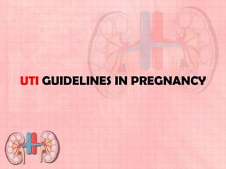 UTI GUIDELINES IN PREGNANCY
 