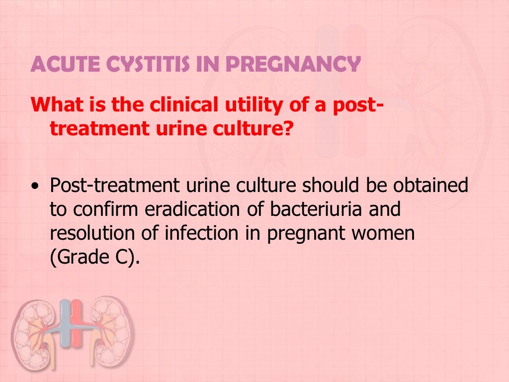 UTI in Pregnancy