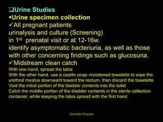 Urine Studies
Urine specimen collection
All pregnant patients
urinalysis and culture (Screening)
in 1st prenatal visit or at 12-16w.
identify asymptomatic bacteriuria, as well as those
with other concerning findings such as glucosuria.
Midstream clean catch
With one hand, spread the labia
With the other hand, use a castile soap–moistened towelette to wipe the
urethral meatus downward toward the rectum, then discard the towelette
Void the initial portion of the bladder contents into the toilet
Catch the middle portion of the bladder contents in the sterile collection
container, while keeping the labia spread with the first hand
Aboubakr Elnashar
 