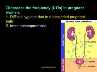 Increase the frequency (UTIs) in pregnant
women.
1. Difficult hygiene due to a distended pregnant
belly
2. Immunocompromised
Aboubakr Elnashar
 