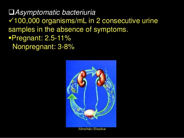 Cipro For Uti During Pregnancy
