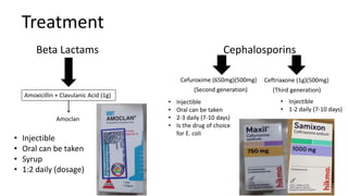 Treatment
Beta Lactams
Amoxicillin + Clavulanic Acid (1g)
Amoclan
• Injectible
• Oral can be taken
• Syrup
• 1:2 daily (dosage)
Cephalosporins
Cefuroxime (650mg)(500mg)
(Second generation)
Ceftriaxone (1g)(500mg)
(Third generation)
• Injectible
• Oral can be taken
• 2-3 daily (7-10 days)
• Is the drug of choice
for E. coli
• Injectible
• 1-2 daily (7-10 days)
 