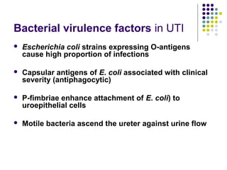 Bacterial virulence factors in UTI
 Escherichia coli strains expressing O-antigens
cause high proportion of infections
 Capsular antigens of E. coli associated with clinical
severity (antiphagocytic)
 P-fimbriae enhance attachment of E. coli) to
uroepithelial cells
 Motile bacteria ascend the ureter against urine flow
 