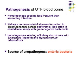 Pathogenesis of UTI- blood borne
 Hematogenous seeding less frequent than
ascending infection
 Kidney a common site of abscess formation in
Staphylococcus aureus bacteremia, less often in
candidemia, rarely with gram-negative bacteremia
 Hematogenous seeding of kidney also occurs with
Salmonella (typhoid) and Mycobacterium
tuberculosis
 Source of uropathogens: enteric bacteria
 