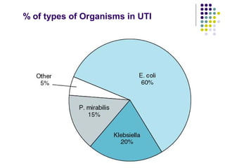 % of types of Organisms in UTI
 