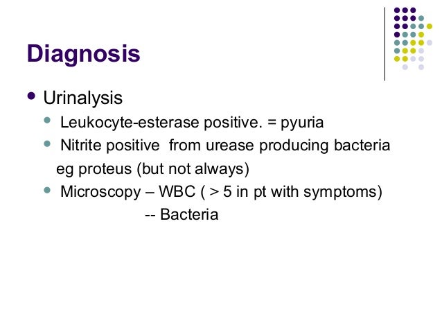 Urinary Tract Infection (UTI) Urinary Tract Infection (UTI)