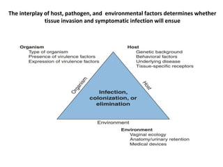 The interplay of host, pathogen, and environmental factors determines whether
tissue invasion and symptomatic infection will ensue
 