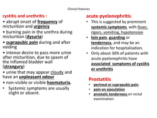 Clinical features
cystitis and urethritis :
• abrupt onset of frequency of
micturition and urgency
• burning pain in the urethra during
micturition (dysuria)
• suprapubic pain during and after
voiding
• intense desire to pass more urine
after micturition, due to spasm of
the inflamed bladder wall
(strangury)
• urine that may appear cloudy and
have an unpleasant odour
• non-visible or visible haematuria.
• Systemic symptoms are usually
slight or absent.
acute pyelonephritis:
• This is suggested by prominent
systemic symptoms with fever,
rigors, vomiting, hypotension
• loin pain, guarding or
tenderness, and may be an
indication for hospitalisation.
• Only about 30% of patients with
acute pyelonephritis have
associated symptoms of cystitis
or urethritis
Prostatitis
• perineal or suprapubic pain,
• pain on ejaculation
• prostatic tenderness on rectal
examination.
 