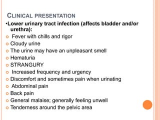 CLINICAL PRESENTATION
•Lower urinary tract infection (affects bladder and/or
urethra):
 Fever with chills and rigor
 Cloudy urine
 The urine may have an unpleasant smell
 Hematuria
 STRANGURY
 Increased frequency and urgency
 Discomfort and sometimes pain when urinating
 Abdominal pain
 Back pain
 General malaise; generally feeling unwell
 Tenderness around the pelvic area
 