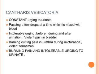 CANTHARIS VESICATORIA
 CONSTANT urging to urinate
 Passing a few drops at a time which is mixed wit
blood
 Intolerable urging ,before , during and after
urination . Violent pain in bladder
 Burning cutting pain in urethra during micturation ,
violent tenasmus
 BURNING PAIN AND INTOLERABLE URGING TO
URINATE .
 