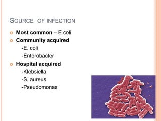 SOURCE OF INFECTION
 Most common – E coli
 Community acquired
-E. coli
-Enterobacter
 Hospital acquired
-Klebsiella
-S. aureus
-Pseudomonas
 