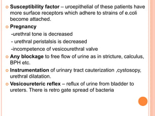  Susceptibility factor – uroepithelial of these patients have
more surface receptors which adhere to strains of e.coli
become attached.
 Pregnancy
-urethral tone is decreased
- urethral peristalsis is decreased
-incompetence of vesicourethral valve
 Any blockage to free flow of urine as in stricture, calculus,
BPH etc.
 Instrumentation of urinary tract cauterization ,cystosopy,
urethral dilatation.
 Vesicoureteric reflex – reflux of urine from bladder to
ureters. There is retro gate spread of bacteria
 