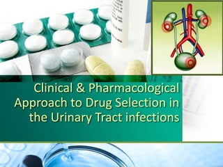 Clinical & Pharmacological
Approach to Drug Selection in
the Urinary Tract infections
 