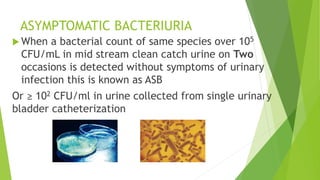 UTIs in pregnancy | PPTX