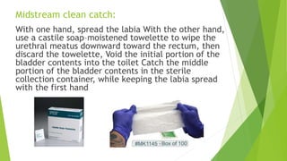 UTIs in pregnancy | PPTX