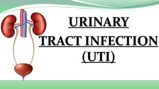 URINARY
TRACT INFECTION
(UTI)
 