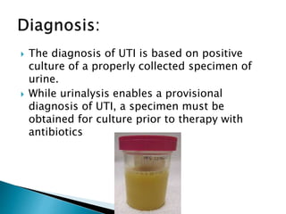  The diagnosis of UTI is based on positive
culture of a properly collected specimen of
urine.
 While urinalysis enables a provisional
diagnosis of UTI, a specimen must be
obtained for culture prior to therapy with
antibiotics
 