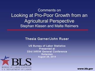 Comments on 
Looking at Pro-Poor Growth from an 
Agricultural Perspective 
Stephan Klasen and Malte Reimers 
Thesia Garner/John Ruser 
US Bureau of Labor Statistics 
Presented at 
33rd IARIW General Conference 
Rotterdam 
August 28, 2014 
 