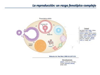 La reproducción: un rasgo fenotípico complejo




           Matzuk et al. Nat Med. 2008 14:1197-213.
 