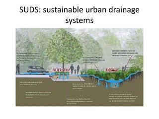 SUDS: sustainable urban drainage
systems
 