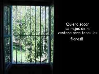 Quiero sacar 
las rejas de mi 
ventana para tocas las 
flores!! 
 