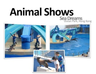 Animal ShowsSea DreamsOcean Park, Hong Kong