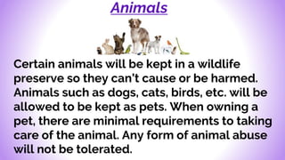 Animals
Certain animals will be kept in a wildlife
preserve so they can’t cause or be harmed.
Animals such as dogs, cats, birds, etc. will be
allowed to be kept as pets. When owning a
pet, there are minimal requirements to taking
care of the animal. Any form of animal abuse
will not be tolerated.
 