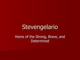 Stevengelario Home of the Strong, Brave, and Determined 