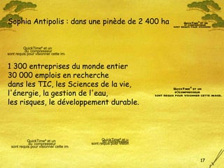 Sophia Antipolis : dans une pinède de 2 400 ha  1 300 entreprises du monde entier 30 000 emplois en recherche dans les TIC, les Sciences de la vie, l'énergie, la gestion de l'eau,  les risques, le développement durable. 
