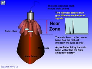 Main Lobe Side Lobes Near Zone Main Beam The main beam or the centre beam has the highest intensity of sound energy Any reflector hit by the main beam will reflect the high amount of energy The side lobes has multi minute main beams Two identical defects may give different amplitudes of signals 