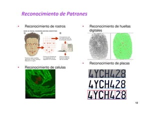 Reconocimiento de Patrones 
• Reconocimiento de rostros 
• Reconocimiento de celulas 
• Reconocimiento de huellas 
digitales 
• Reconocimiento de placas 
12 
 
